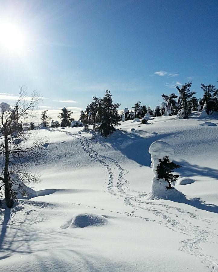 Hotel Seita Äkäslompolo Buitenkant foto